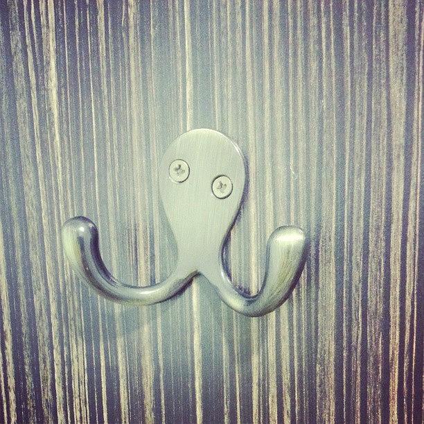 Drunk Octopus Wants To Fight Photograph by Jake Corley