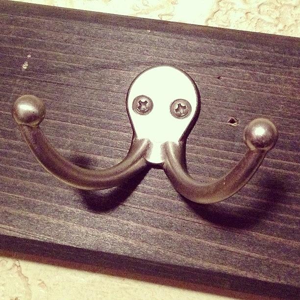 Drunk Octopus Wants To Fight Photograph by T C