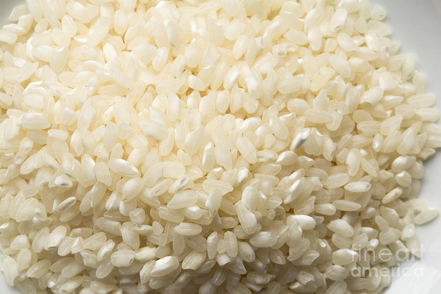 Dry Arborio white Rice Photograph by Edward Fielding