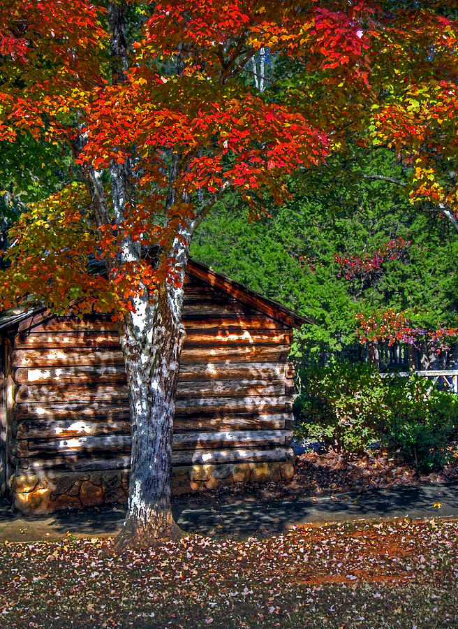 Dry Brush Painting Effect Red leaves over a log cabin Photograph by Andy Lawless