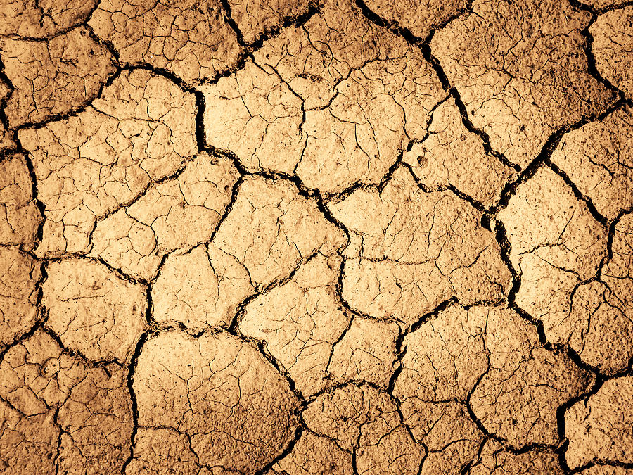 Dry Cracked Dirt Photograph by Lane Erickson