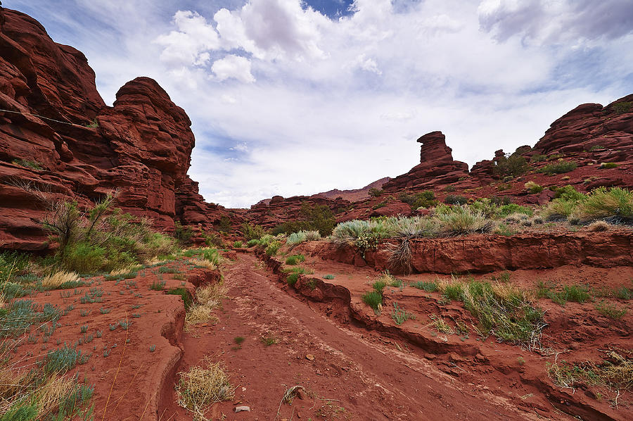 Dry Creek Photograph by Andrew Fritz - Pixels