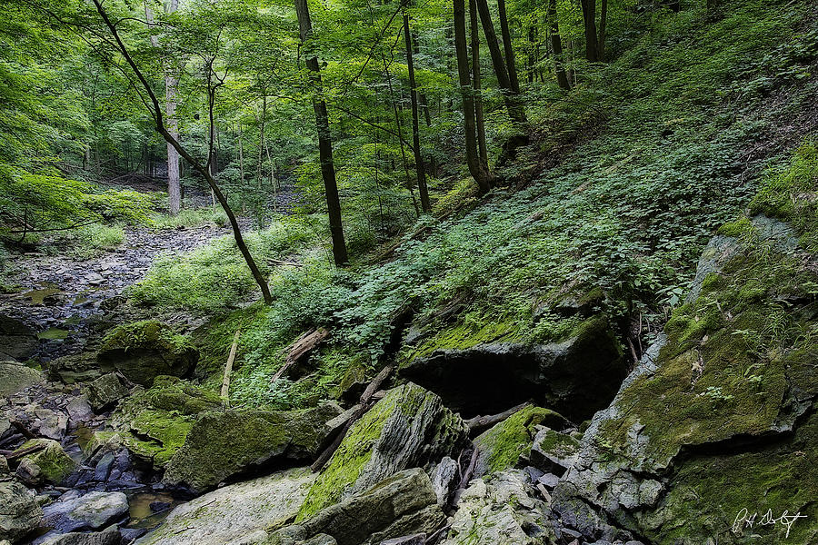 Dry Creek Photograph by Phill Doherty - Pixels