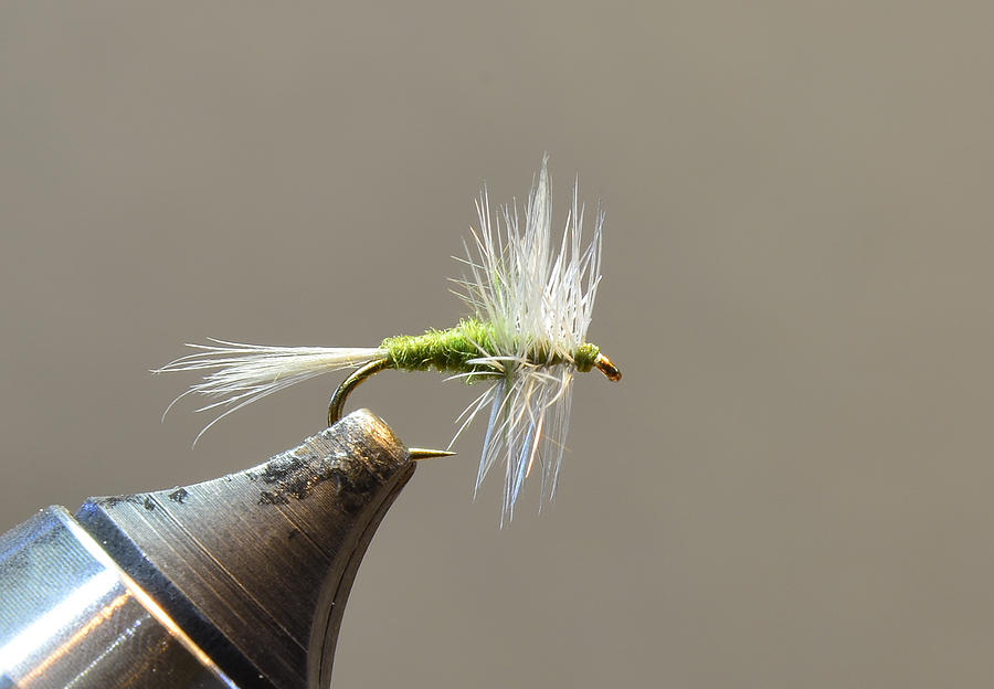 Fly Photograph - Dry Fly 002 by Phil And Karen Rispin
