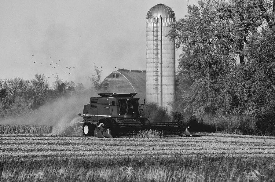 Dry Harvest Photograph by Dan Hefle