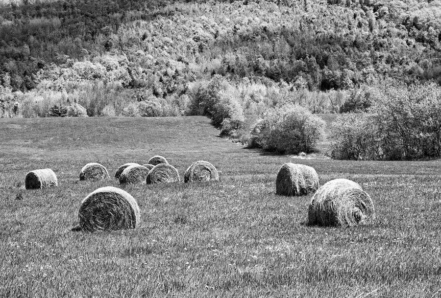 Dry Hay Bales In Maine Farm Field Photograph by Keith Webber Jr