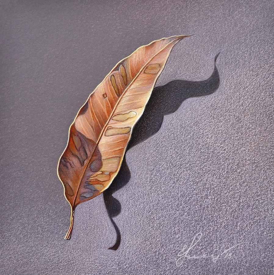 Still Life Drawing - Dry leaf by Elena Kolotusha