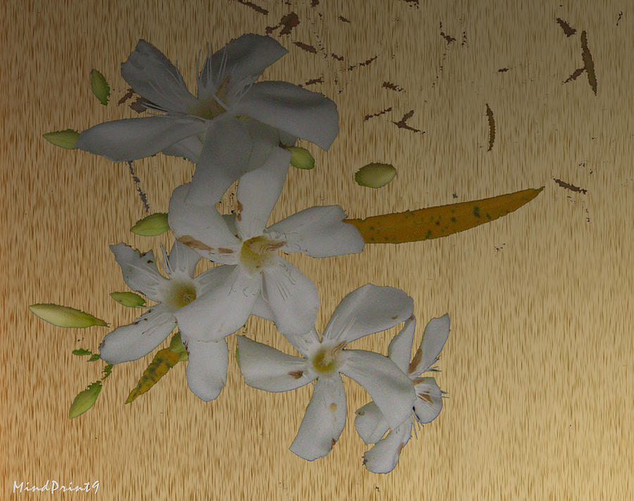 Dry Leaves and Fowers Digital Art by Asok Mukhopadhyay