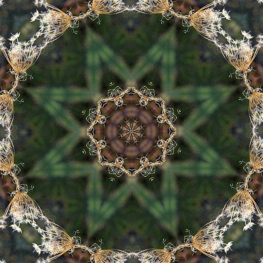 Dry Queen Annes Lace Kaleidoscope Photograph by Valerie Kirkwood