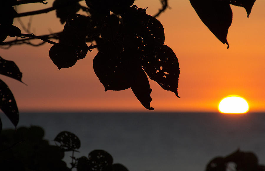 Dry Season Sunset Photograph by Douglas Barnard
