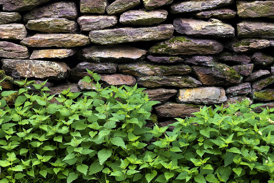 Brick Photograph - Dry Stone wall  by Fabrizio Troiani