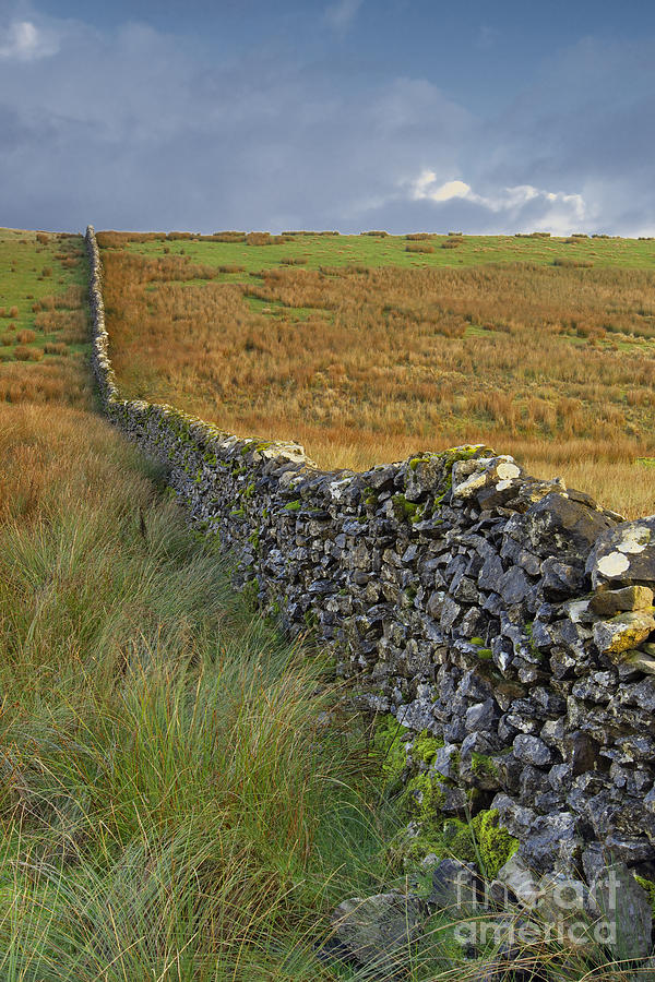 Dry Stone Wall Yorkshire Dales UK Photograph by Martyn Arnold