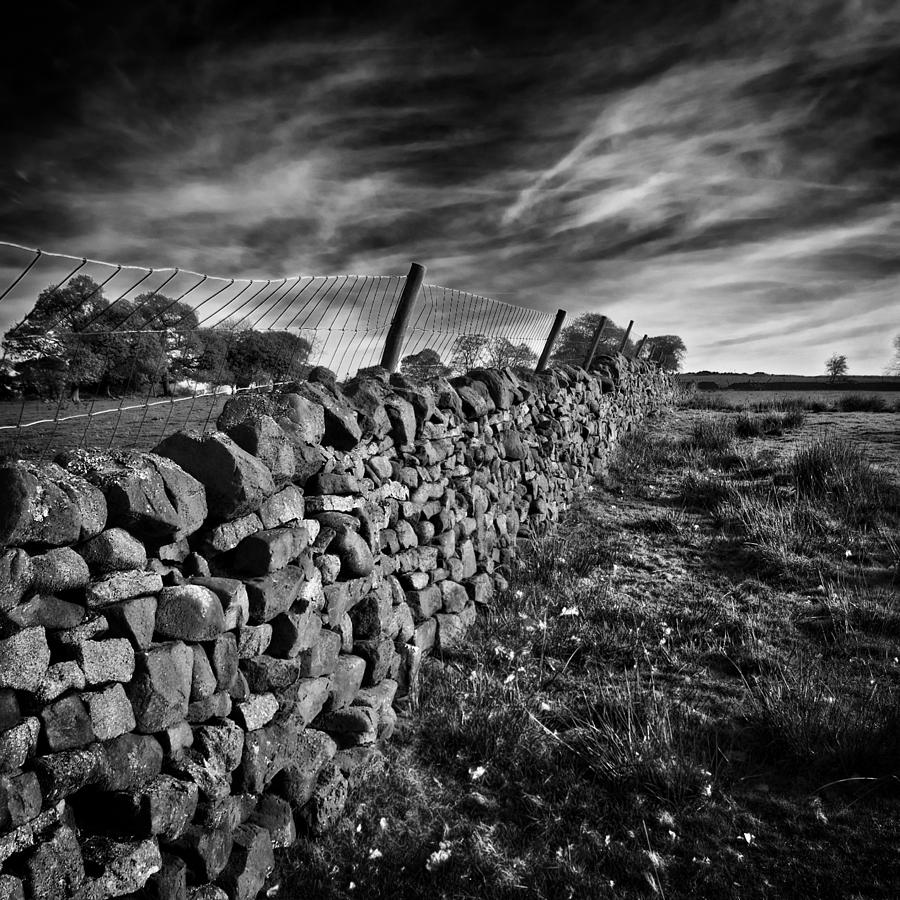Dry Stone Walls Photograph by Meirion Matthias
