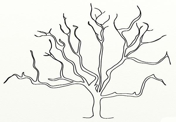 Dry Tree Digital Art by Shiva G