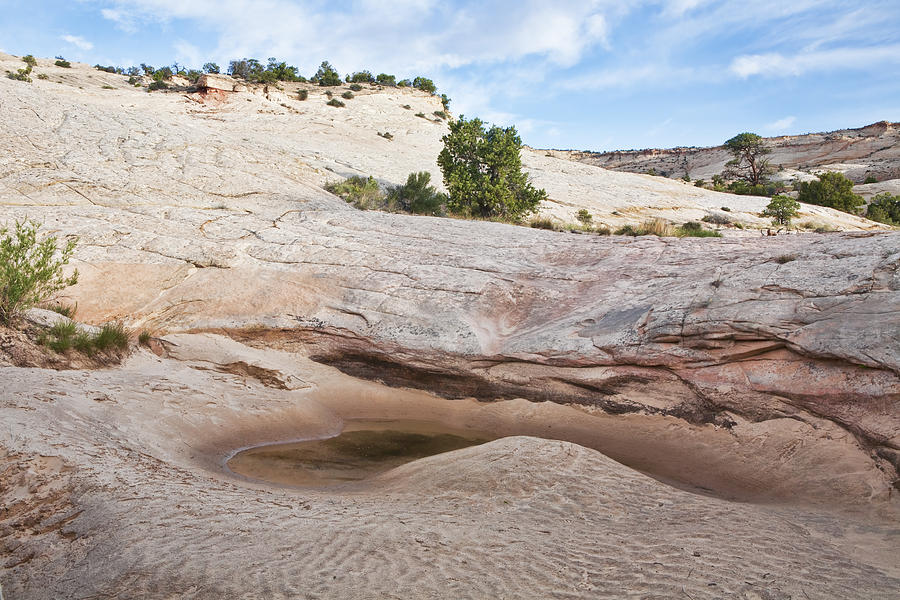 Dry Waterfall Photograph by Gregory Scott