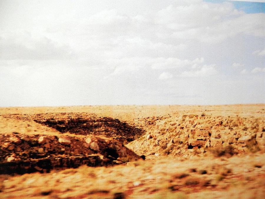 Dry Western  Desert Gully Photograph by Belinda Lee