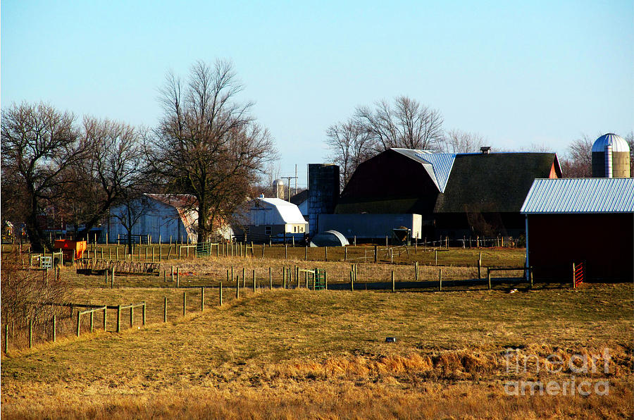 Drying Hay Photograph By Tina M Wenger