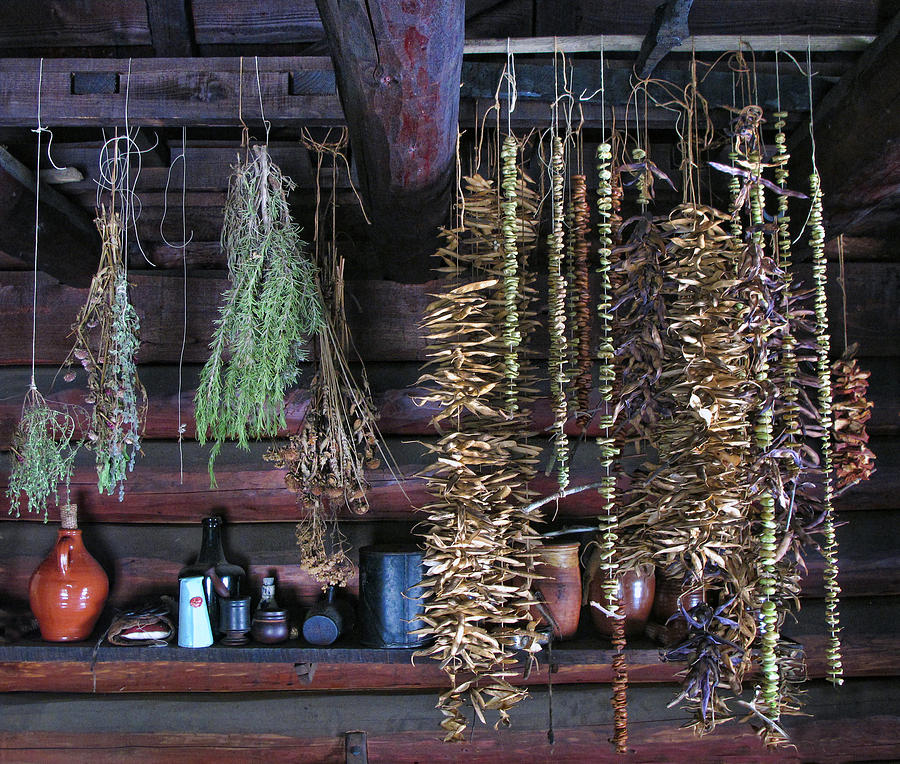 Drying Herbs and Vegetables in Williamsburg Photograph by Dave Mills