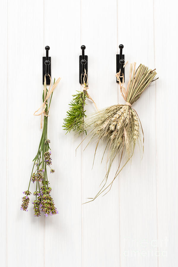 Space Photograph - Drying Herbs With Lavender by Amanda Elwell