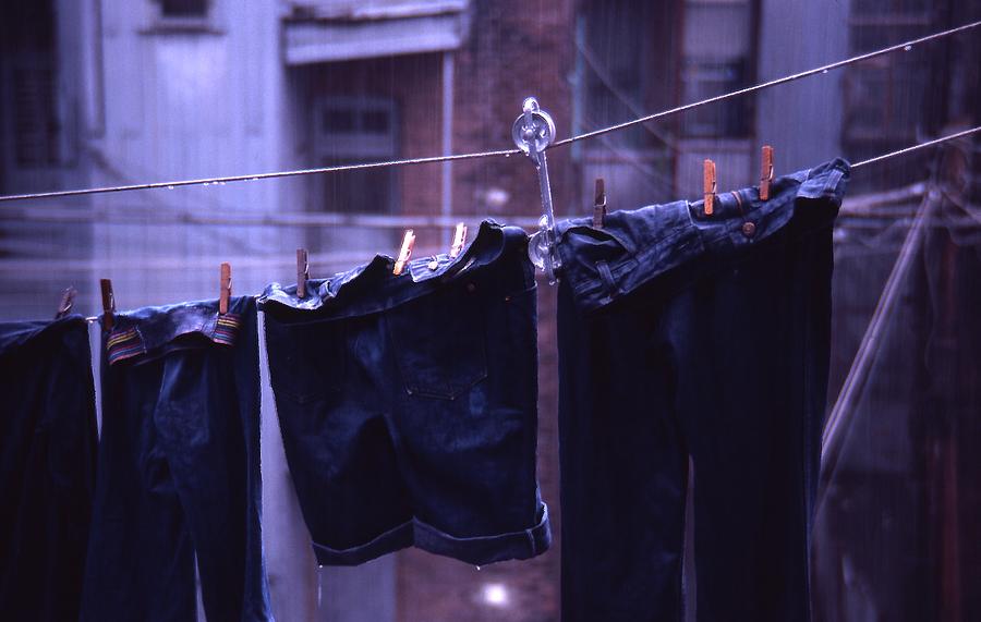 Drying in the Rain Photograph by Richard Stanford
