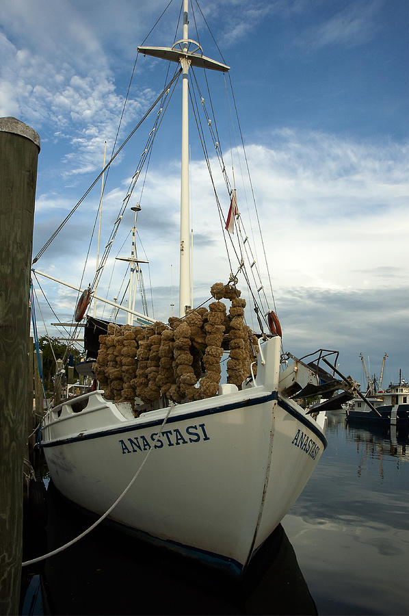 Tarpon Springs Photograph - Drying Sponges by Norman Johnson