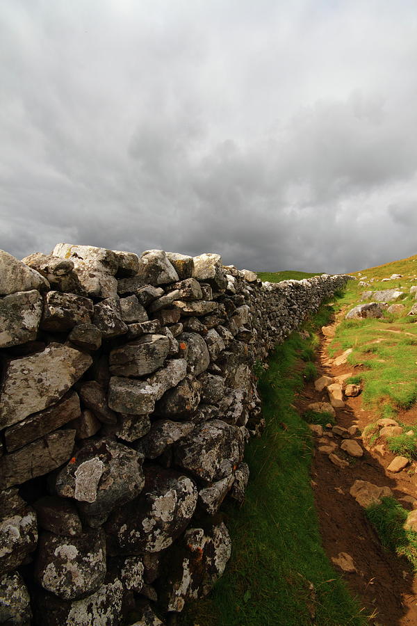 Drystone Wall Photograph by Paul Bettison Photography