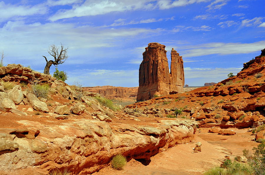 Arches National Park Photograph - Dsc_3690.jpg by Marty Koch