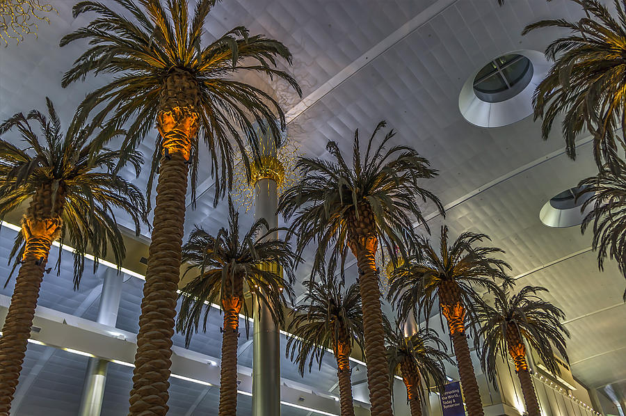 Dubai Airport Terminal Photograph