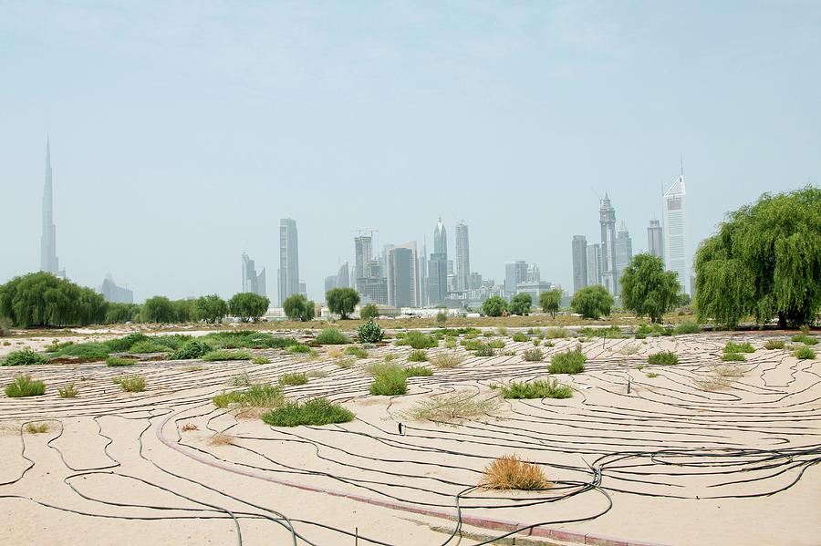 Dubai Skyline And Desert Photograph by Andy Crump/science Photo Library