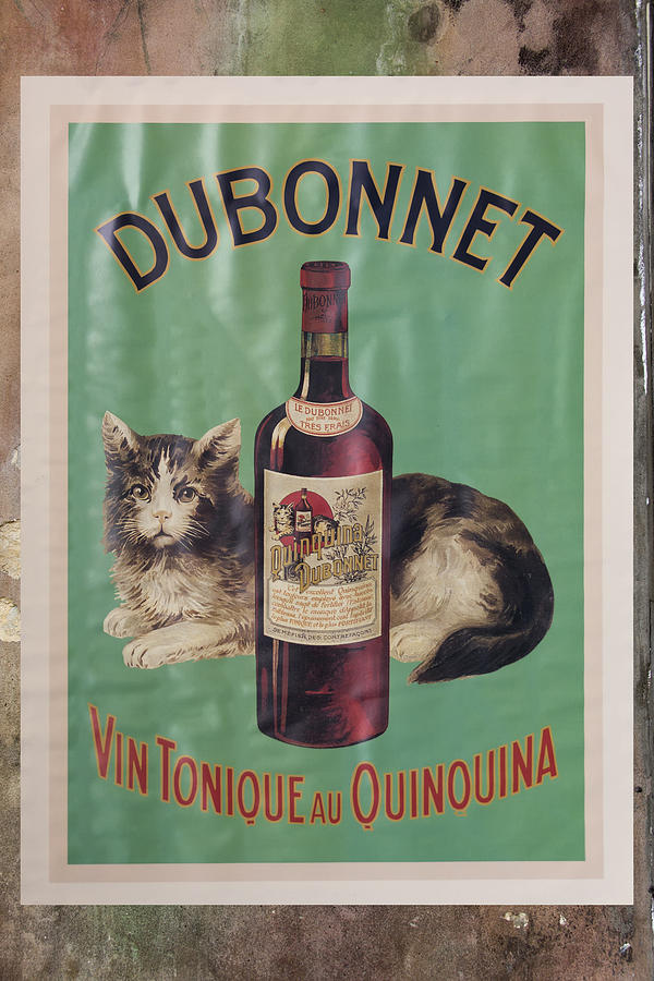 Dubonnet Wine Tonic DSC05585 Photograph by Greg Kluempers