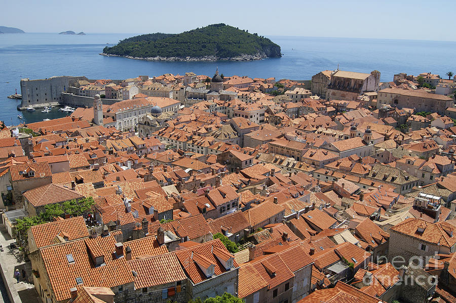 Dubrovnik And Lokrum Island Photograph