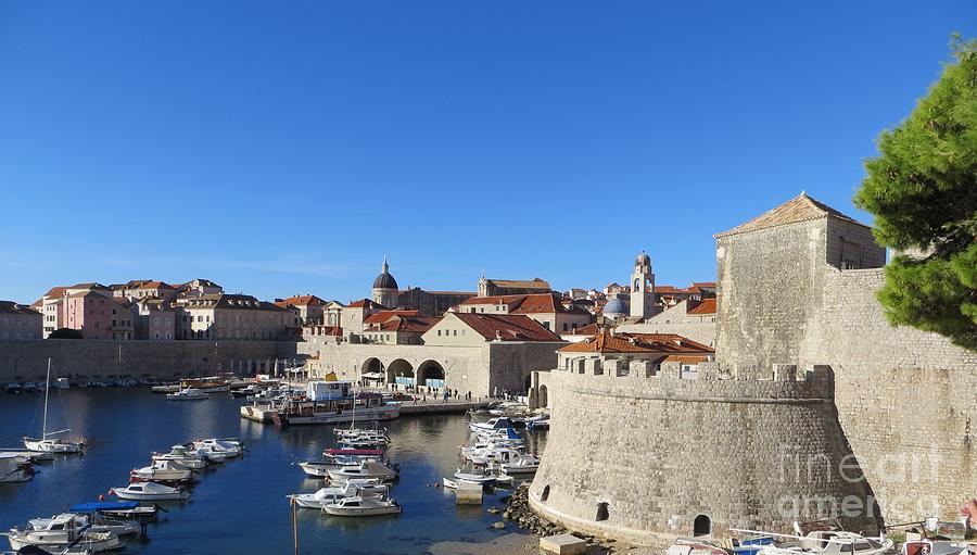 Dubrovnik Harbor Photograph by Tim Townsend