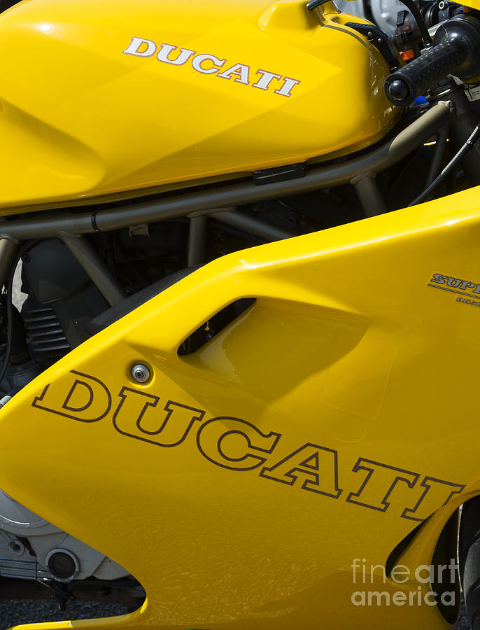 Ducati Desmodue Motorcycle  Photograph by Tim Gainey