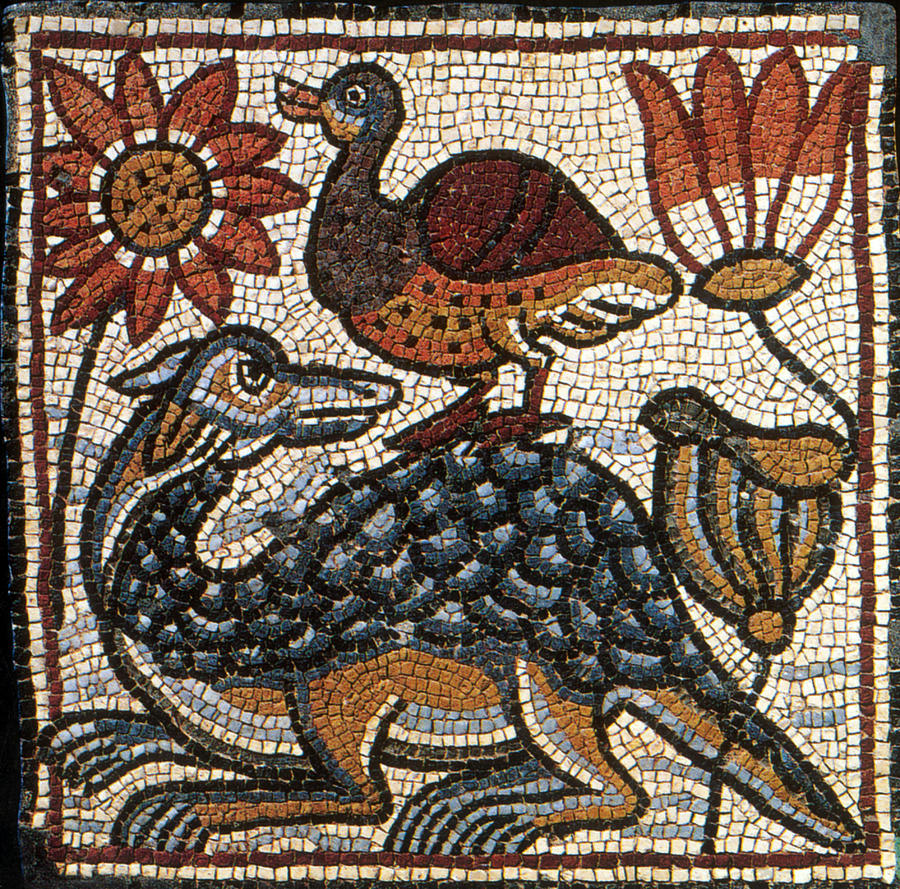 Duck And Crocodile, Byzantine Mosaic Photograph by Science Source
