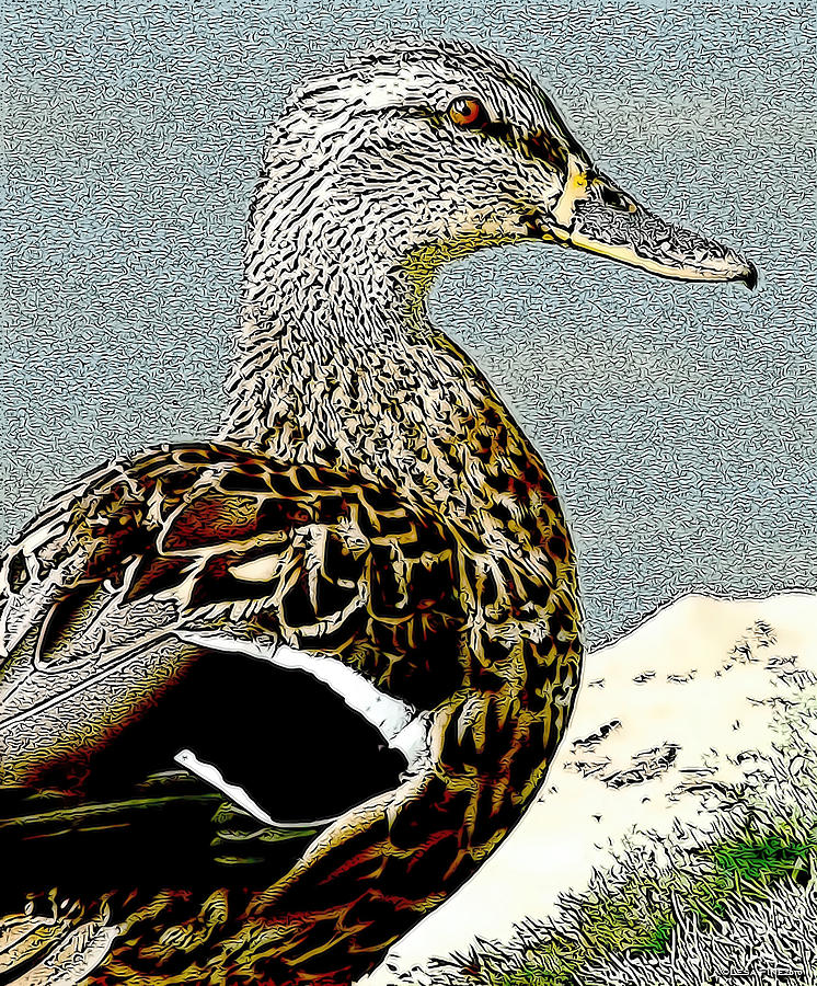 Duck Art Tribal Mallard Mixed Media by Lesa Fine