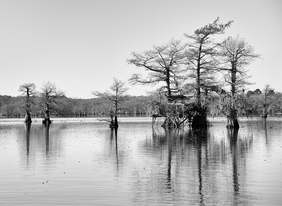 Black And White Photograph - Duck Blind on Caddo Lake by Mary Lee Dereske