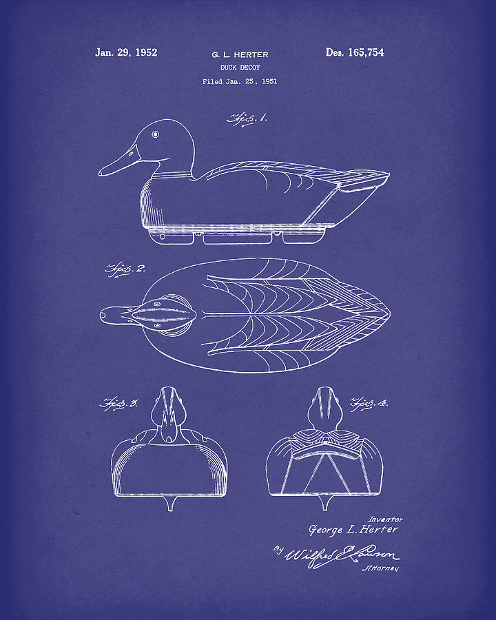 Duck Decoy 1952 Patent Art Blue Drawing by Prior Art Design