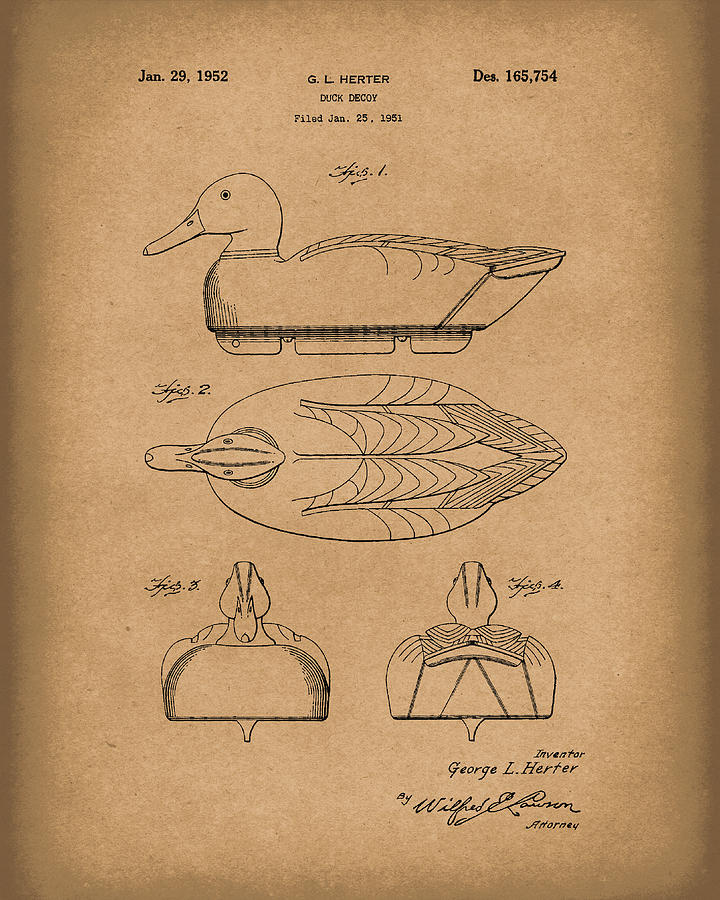 Duck Decoy 1952 Patent Art Brown Drawing by Prior Art Design