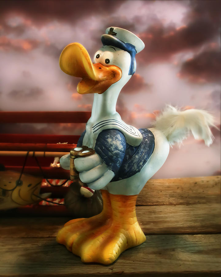 Duck Photograph - Duck by Diane Bradley