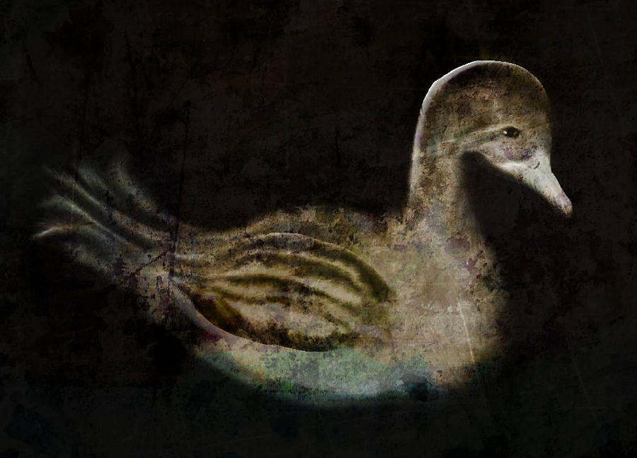 Duck Digital Art - Duck by Diane Storer
