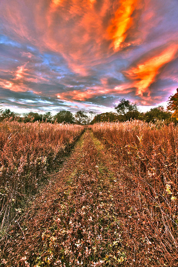 Duck Farm Grass Road Photograph by Robert Seifert