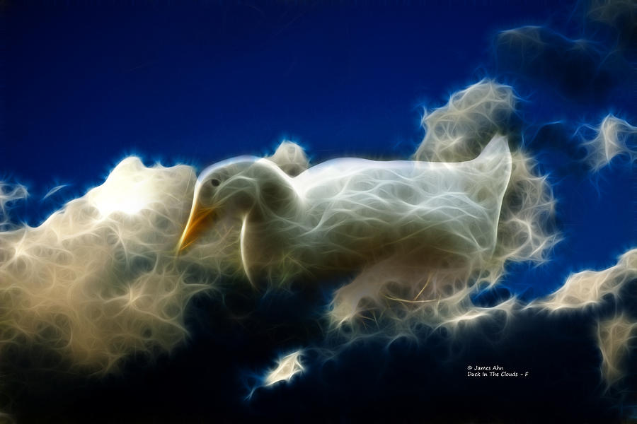 Duck in the clouds - F Digital Art by James Ahn