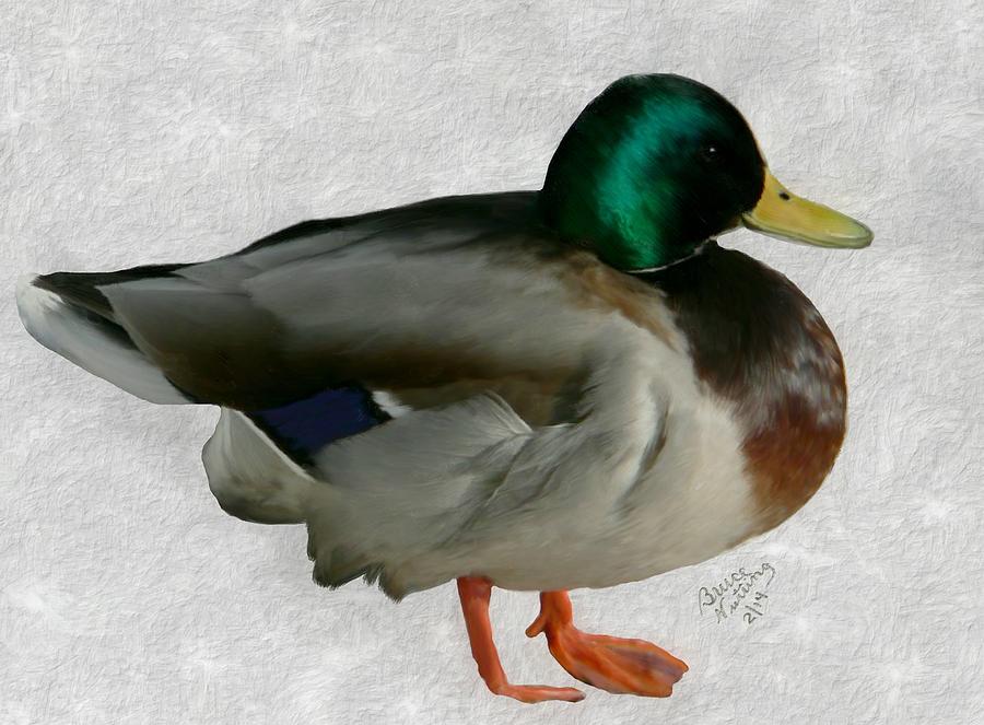 Duck in the Snow Painting by Bruce Nutting
