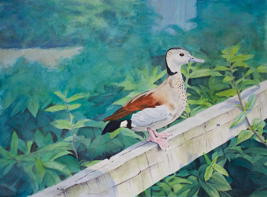 Duck On A Fence Painting by Christopher Reid