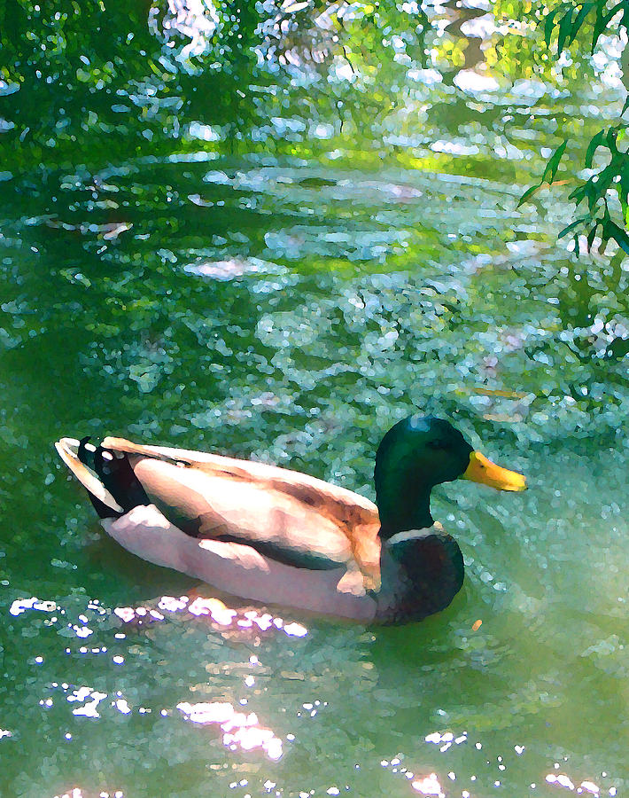 Duck on Green Pond Painting by Amy Vangsgard