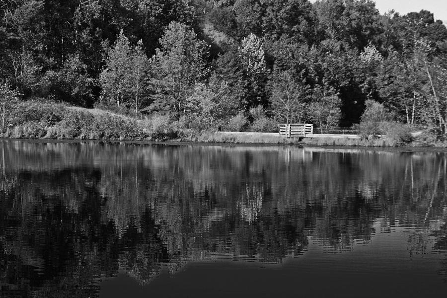 Duck Pond Black and White Photograph by Andy Lawless