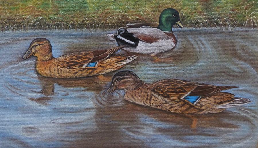 Duck Pond Painting by Lucy Deane - Fine Art America