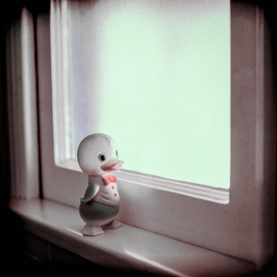 Duck Photograph - Duckie At The WIndow by Yo Pedro