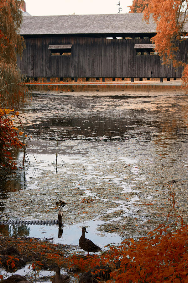Landscape Photograph - Ducking Under The Bridge by Jeff Folger