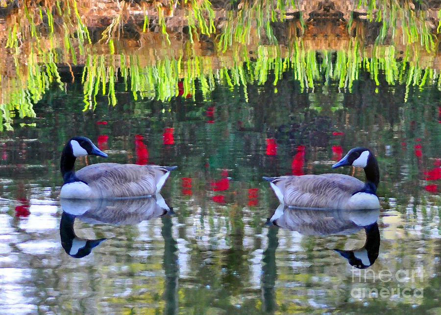 Duckland Pond Reflections Photograph by Lydia Holly